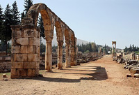 Le cardo de la ville omeyyade d'Anjar (ancienne Chalcis) vu du nord.