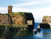 Vue du château et du port de Dunbar ou fut emprisonné Sir Robert Graham de Kinpont 